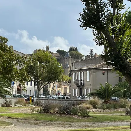 La Maison Du Pont Vieux - Proche Cite Medievale 卡尔卡松